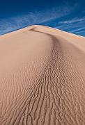 Mesquite Dunes 9628